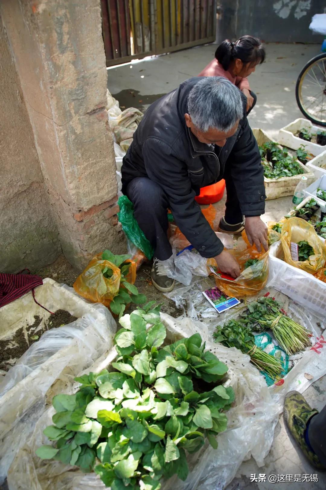 无锡七条老街,无锡值得逛的老街