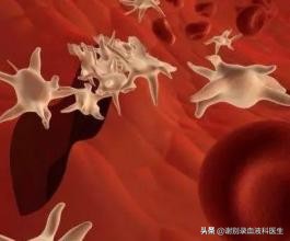 再障恢复到什么数值,极重型再障一般多久恢复