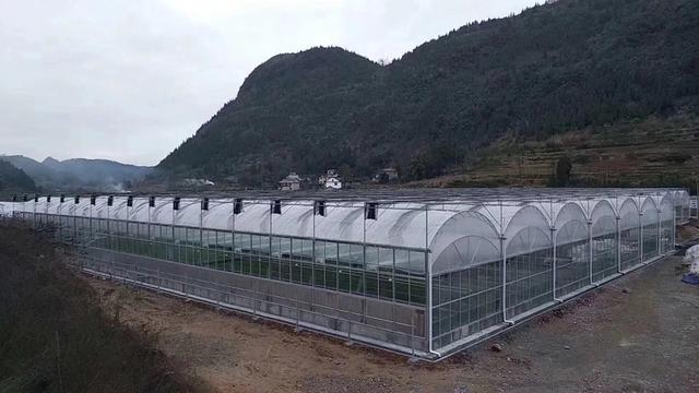 连栋温室大棚每亩造价是多少钱,连栋温室大棚建造多少钱一平米