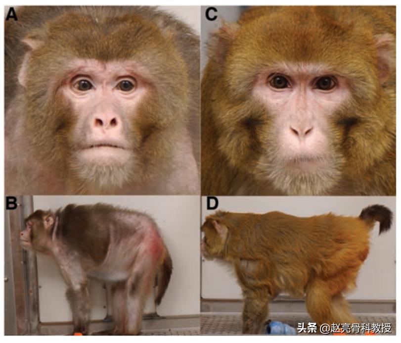 医生畅谈“不老神药”NAD的昨与今