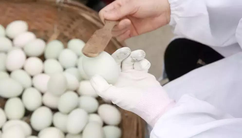 传承了280多年!这道来自嘉兴平湖的奇特美食,你吃过吗?