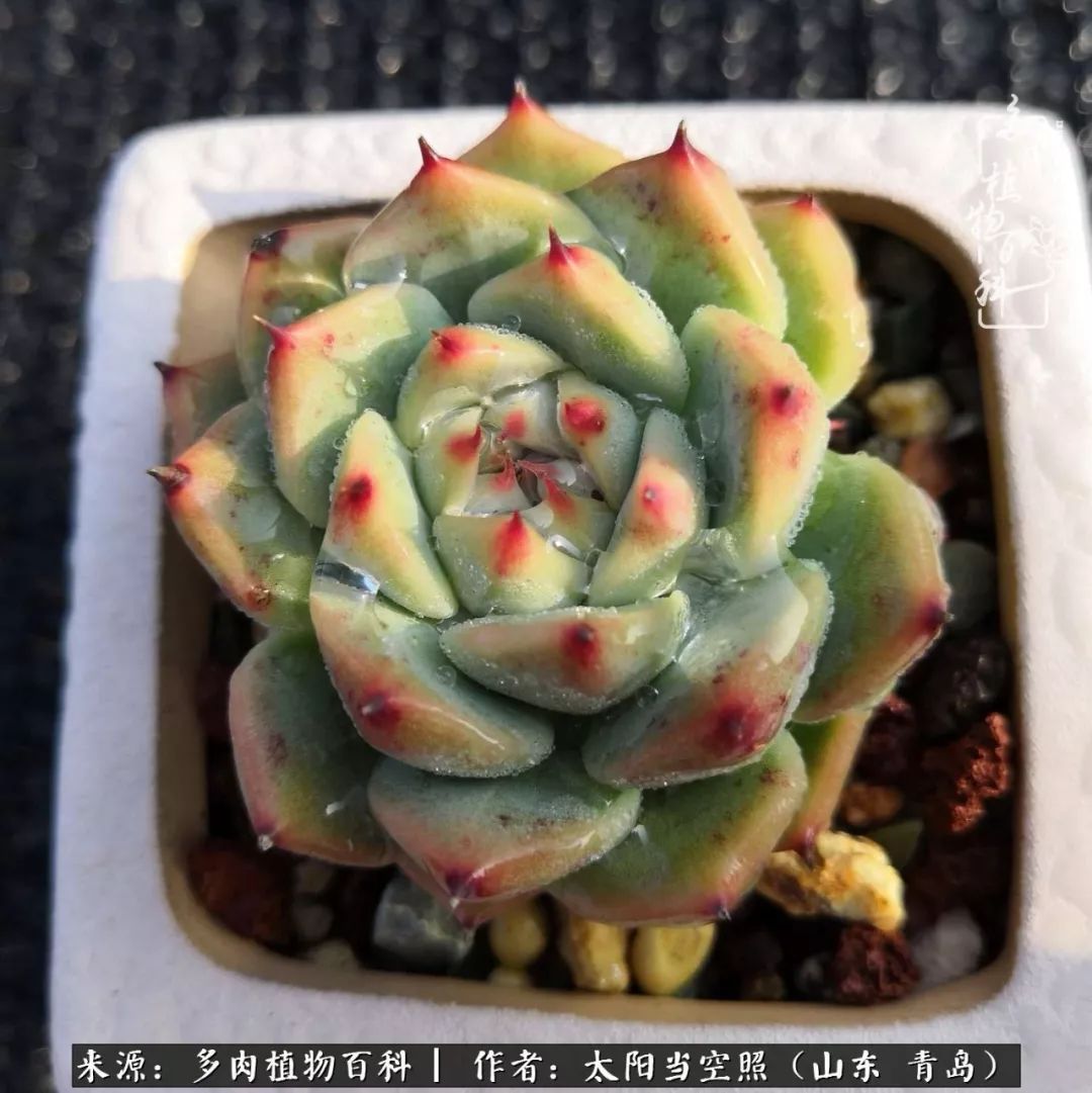 离家在外才发现最难忘的是故乡情,离家在外看见家乡的东西