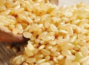 北方农业种植致富项目,农业种植致富项目有什么