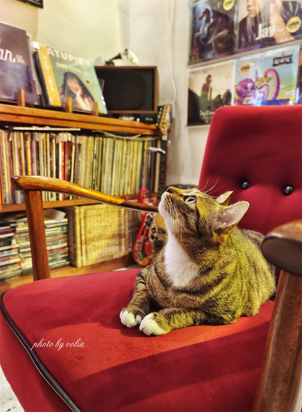 黑胶·旅人·酒|莫干山的月亮是橙色的