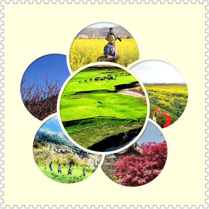 光禄的作品,光禄生日