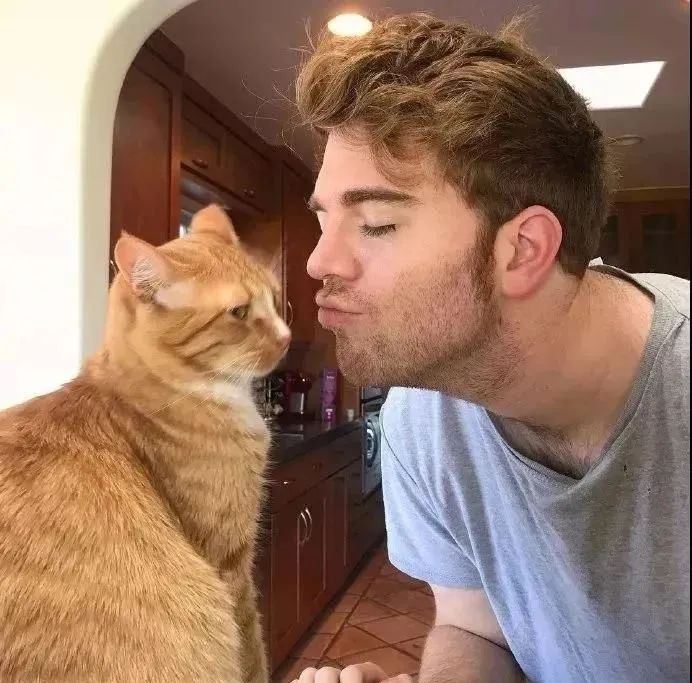 铲屎官请自重图,铲屎官请自重