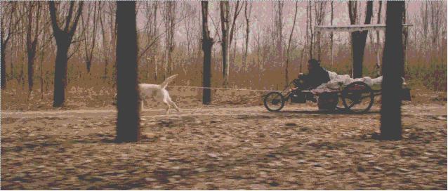 严打非法经营野生动物,贩卖野生保护动物如何处罚