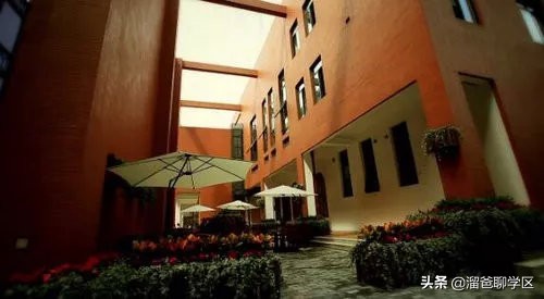 名校巡礼之泡桐树小学天府校区,名校巡礼