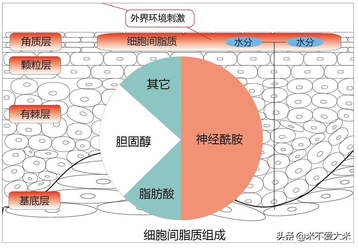 让我告诉你如何像范冰冰舒淇等女星那样治好自己的过敏肌肤
