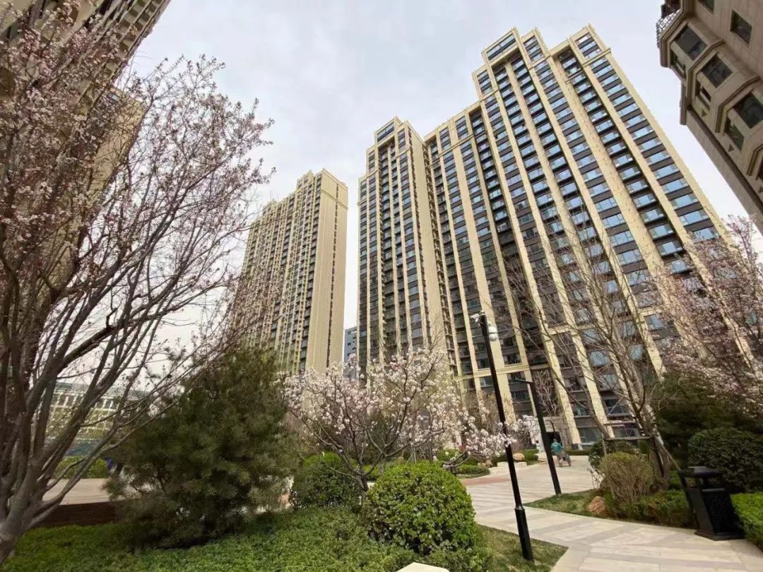 石家庄三大富人区别墅,石家庄豪宅楼盘有哪些