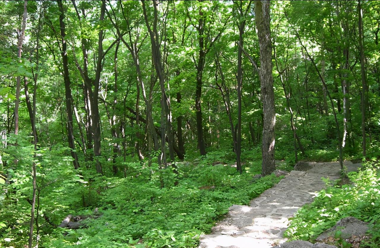 辽宁省14个市抚顺排第几,辽宁抚顺都有哪些区