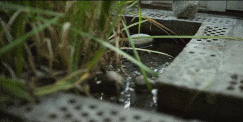 耗费十余年打造透明“自然屋”，瑞典爸爸终与自闭症儿子和解