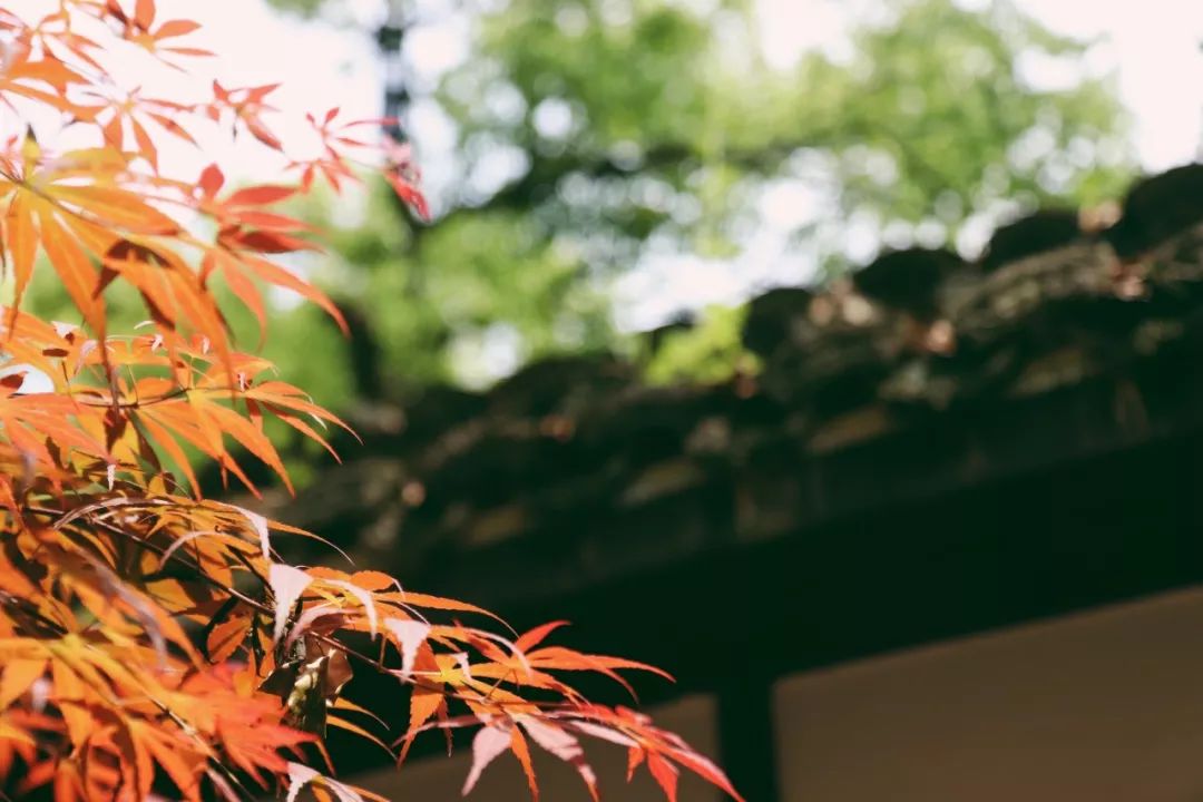 亲测旅游攻略,旅游团游西湖攻略线路地图