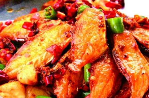 被误解的动物鱼,被误解的鱼