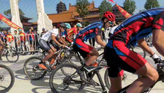 国家网信办处置违法账号,国家网信办回应网络乱象