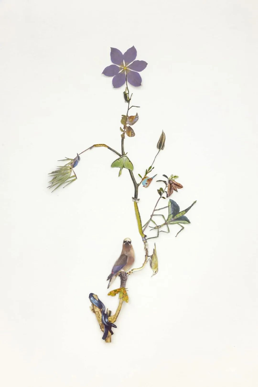 叹为观纸折纸作品,最近超火的纸手工