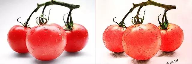 儿童彩铅画番茄,彩铅画写生番茄