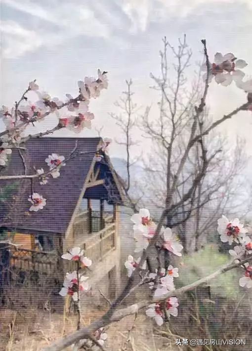 人间四月芳菲天,最美春天在房山——蒲洼行记