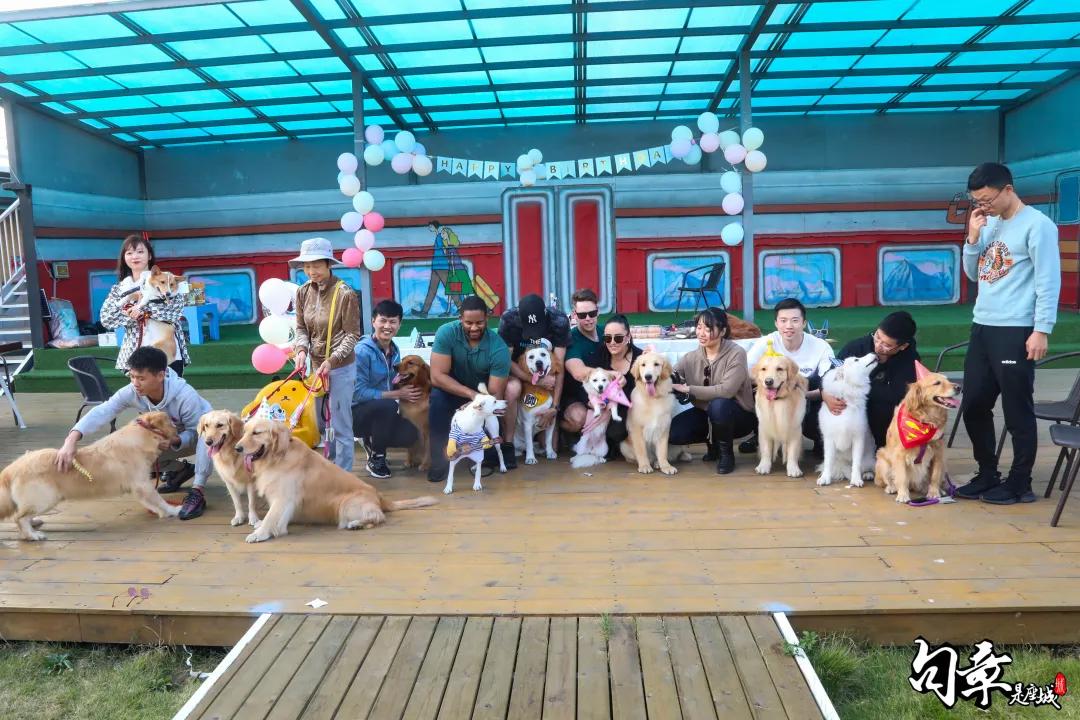 汪汪汪~宁波首家宠物主题乐园登陆江北，铲屎官们走起