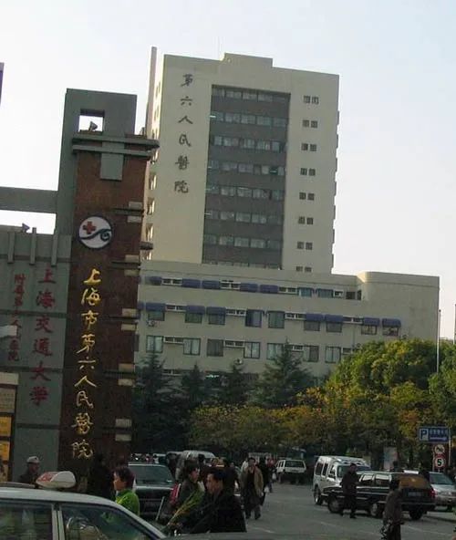 「六院故事」跟*党**走，办实事！上海市第六人民医院开创骨质疏松防治新局面