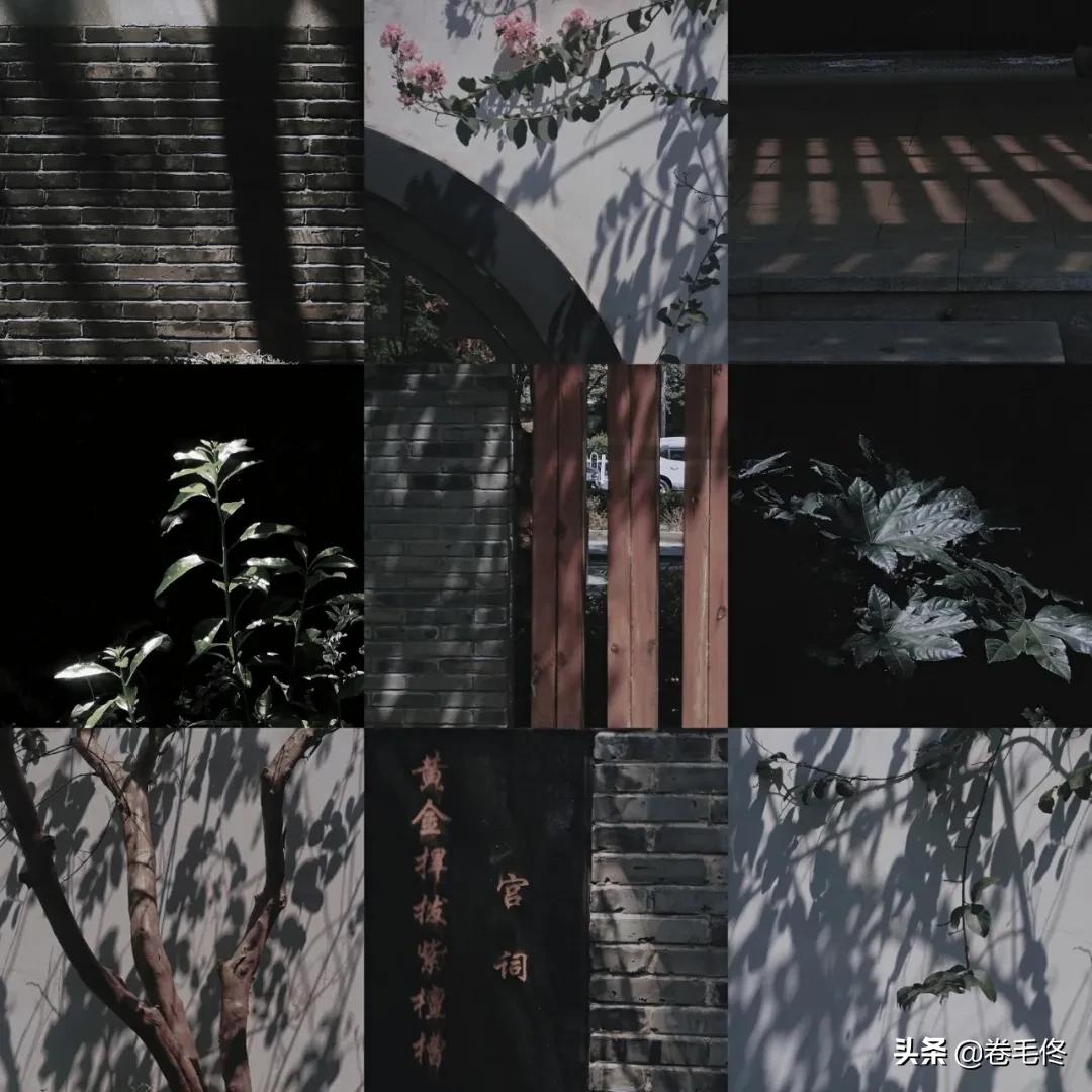 手机拍大片人像,如何拍手机照片最好看