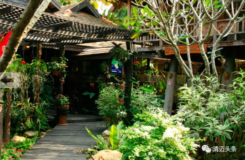 泰国清迈小众餐厅,清迈米其林餐厅kiew