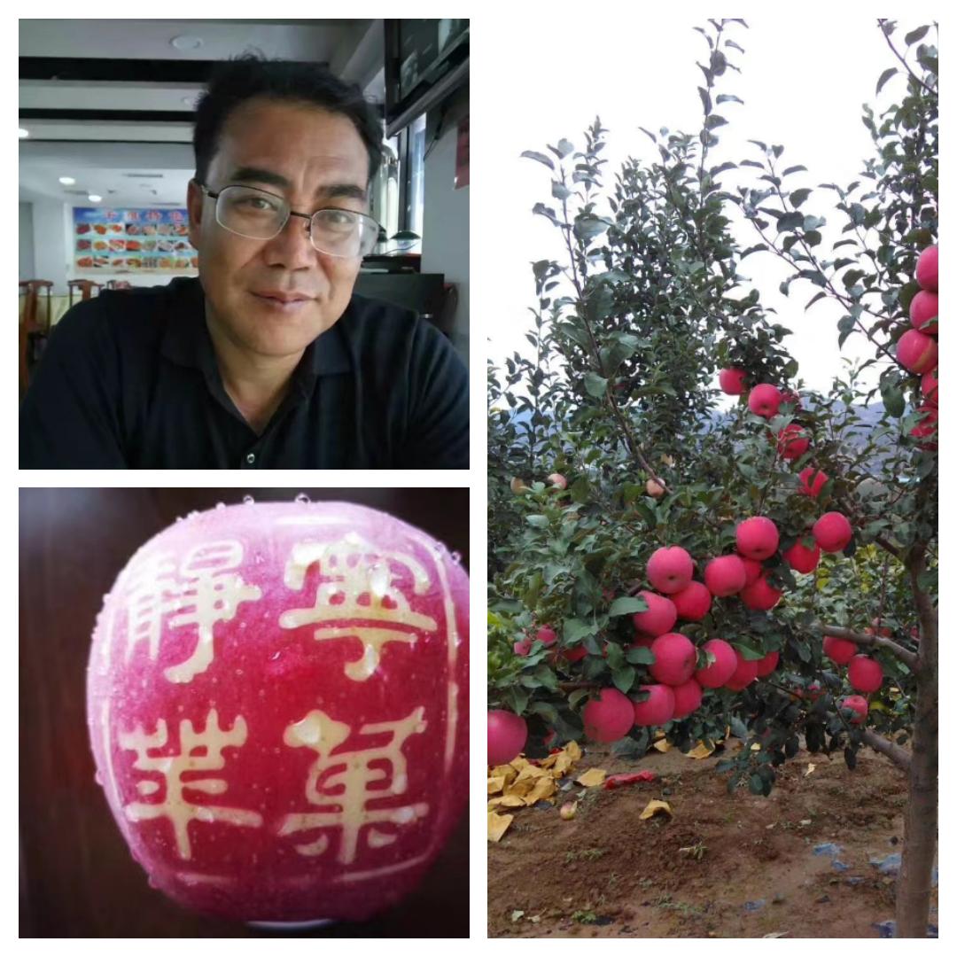 节后总结语,节后白话怎么讲