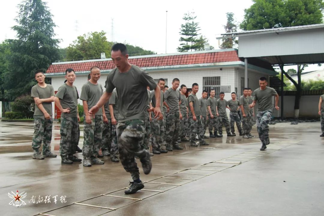 新军体体能训练法,体能套路组合训练