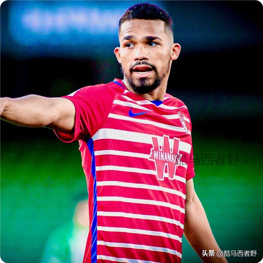 西甲格拉纳达段刘愚,段刘愚将加盟西甲格拉纳达