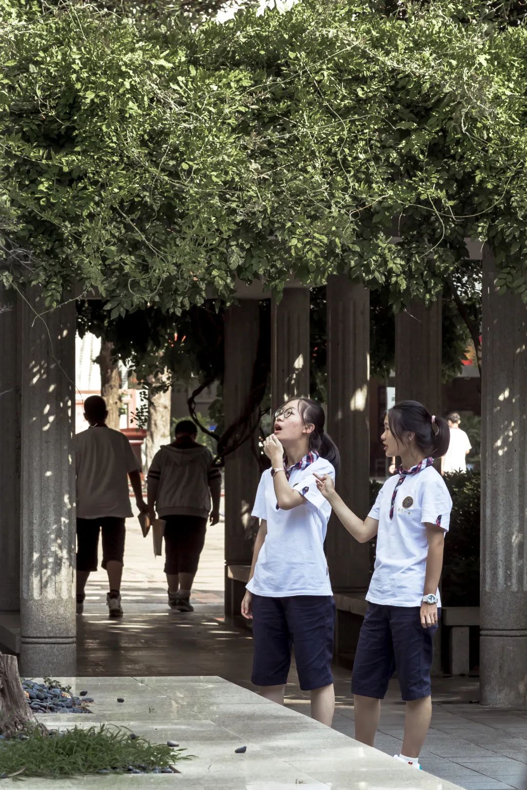 记忆中的南京一中,南京一中传奇