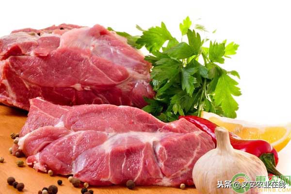 今日朝鲜猪肉价格是多少钱一斤,今天猪肉一斤多少钱北京猪肉价格