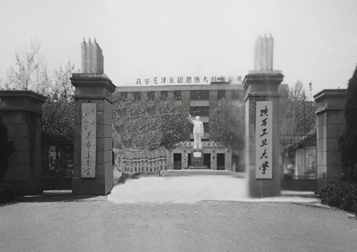 1952年,一农民找到广州市委书记:妈,我是您失散23年的儿子