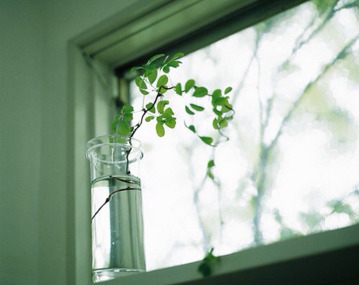 当你度过了人生中最艰难的日子,生命中最绝望的日子都是怎么过的