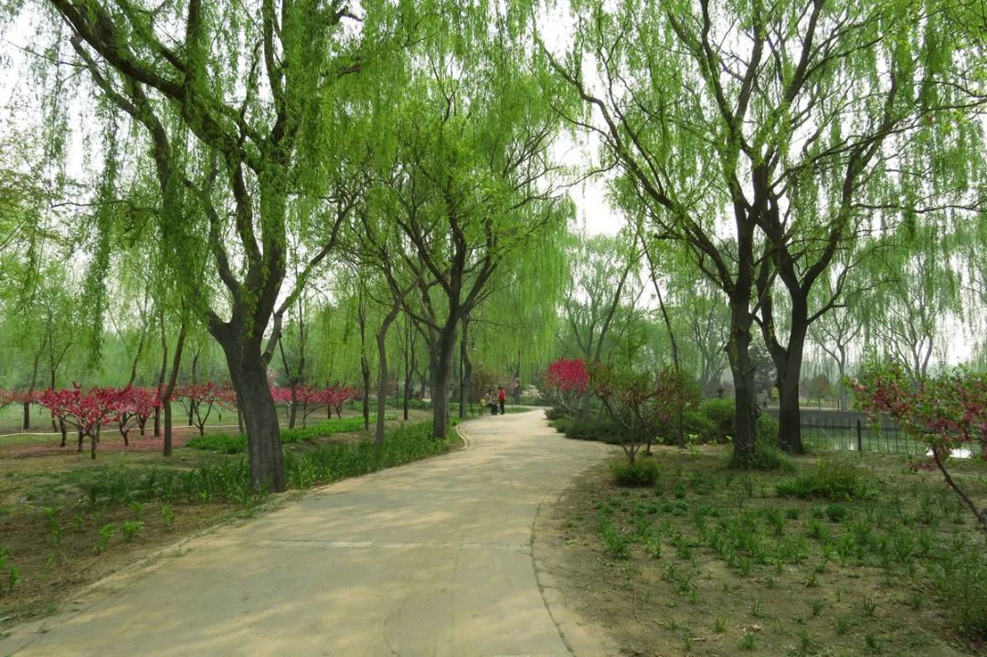 北京戒台寺郊野公园,北京燕山东岭郊野公园