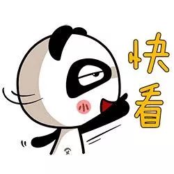 2019年厦门小学排名榜,2020厦门小学排名一览表