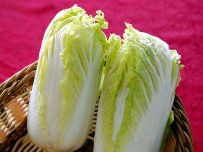 狗狗吃蔬果注意什么,狗狗常吃这9种食物轻松活到18岁