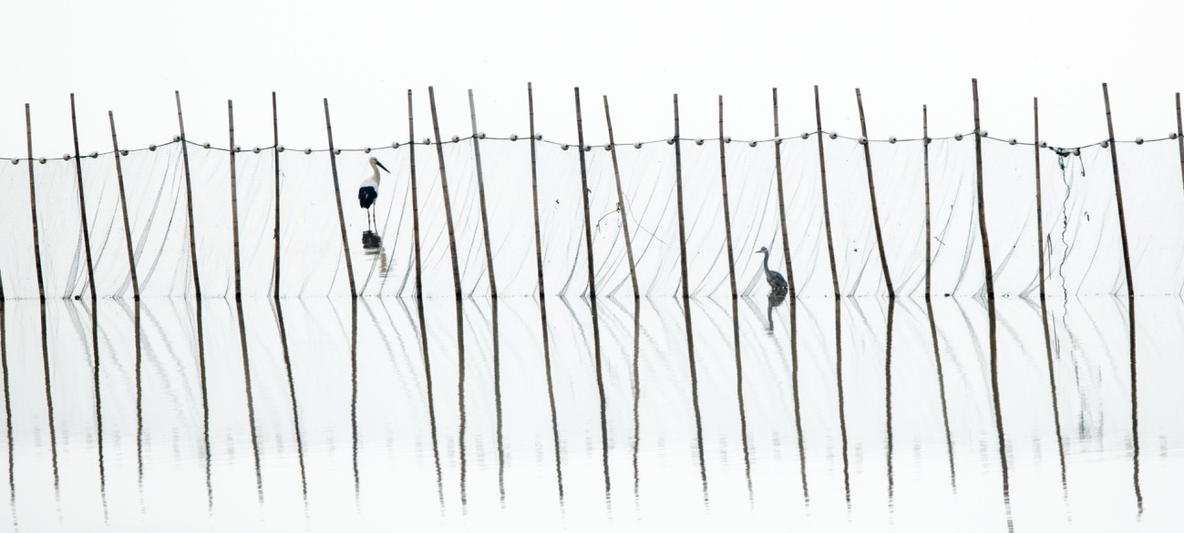 用镜头捕捉瞬间用光影记录感动,用镜头记录人生用心灵感悟美好