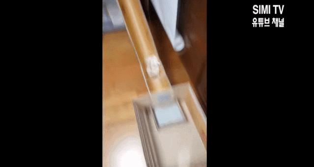 身价300万的仓鼠外网走红！住3层电梯豪宅，丰富娱乐，人不如鼠啊