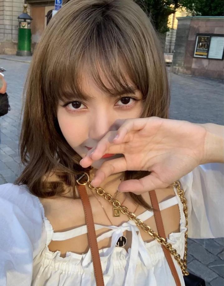 发色越掉越好看的颜色lisa同款,越掉色越好看发色lisa同款