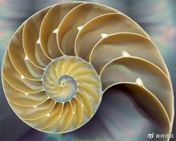 360度旋转楼梯的做法全过程,旋转楼梯和普通楼梯对比图片