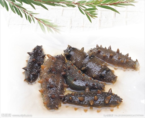 怎样才能让小蝌蚪成功的受孕,备孕如何提高蝌蚪质量