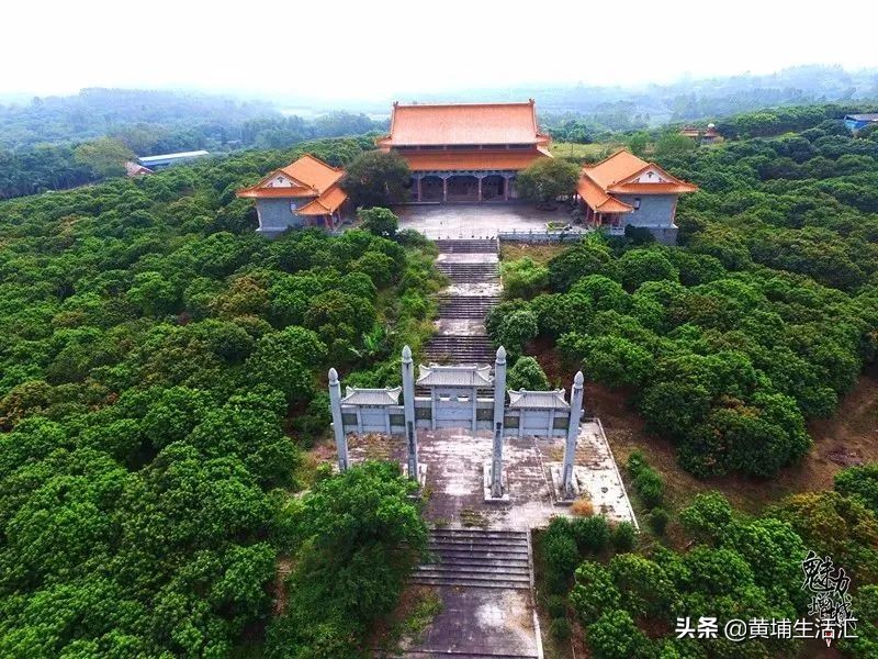 增城时代名著有多少栋楼,广州增城山田时代名著最新房价