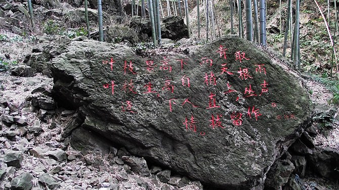 南京竹海宜兴竹海,宜兴华东第一竹海