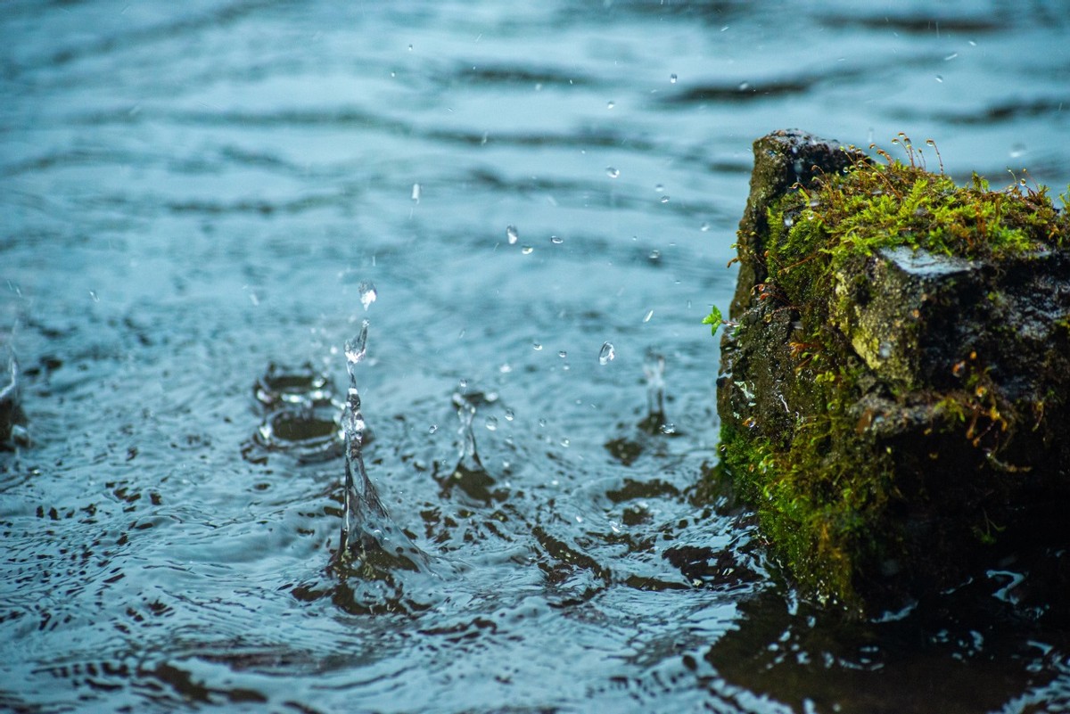 十大口粮酱酒排行榜,十大口粮酒品牌排行榜