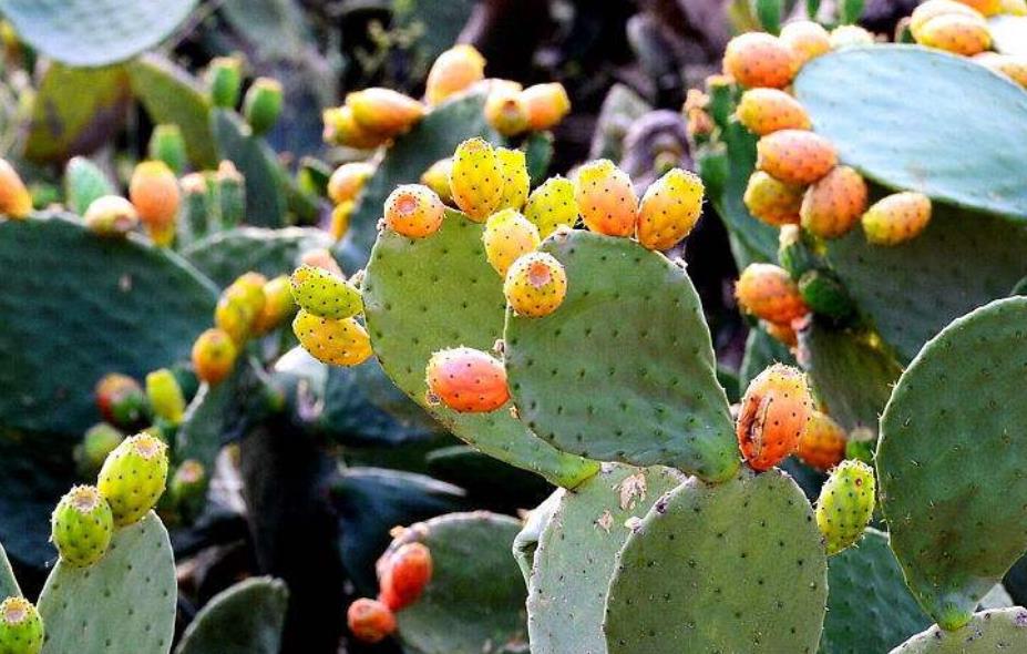 做人不要太锋芒毕露学会低调处事,为人处世只要懂得这三条规则