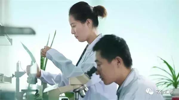 西安力邦制药2019年招聘公告（月薪4500+、五险一金）