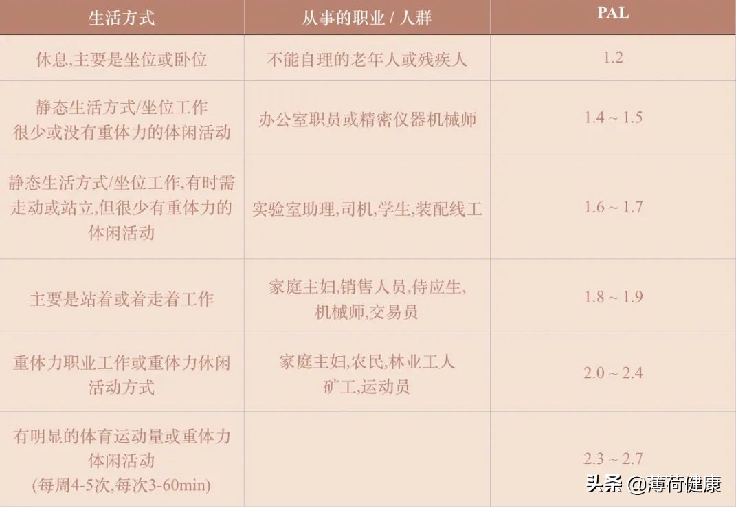 轻断食减肥法全解读,轻断食减肥法食谱5天瘦十斤