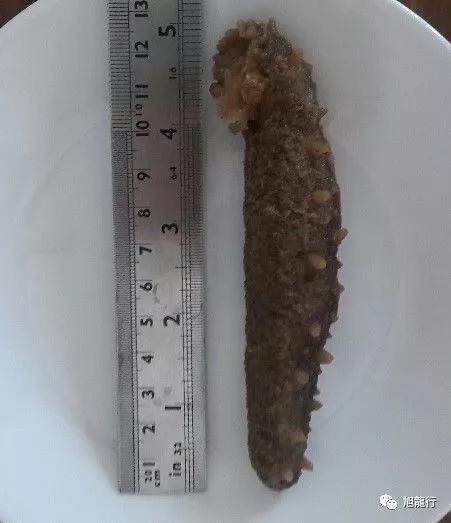 秋风起秋膘贴,秋风起贴秋膘喝羊汤