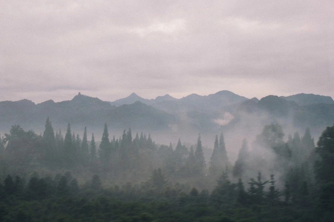 有一种修行叫俗世修行,有一种修行叫止语