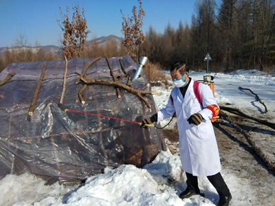 村医守护村民健康,守护村民健康乡村医生